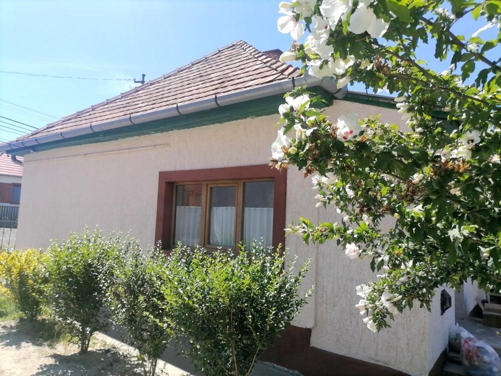 Lankas Vendeghaz - Holloko Villa Exterior photo